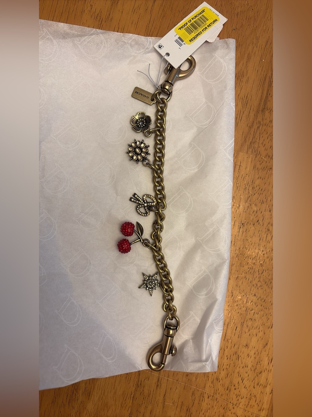 Coach Antique Brass Charm Bracelet with Red Cherry Accents and Floral Charms
